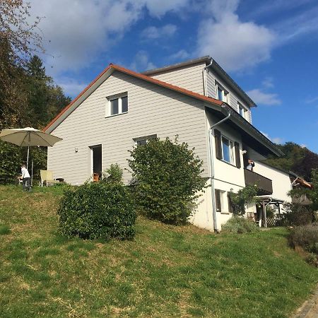 Alpenpanorama Am Hochrhein Villa Gailingen Ngoại thất bức ảnh
