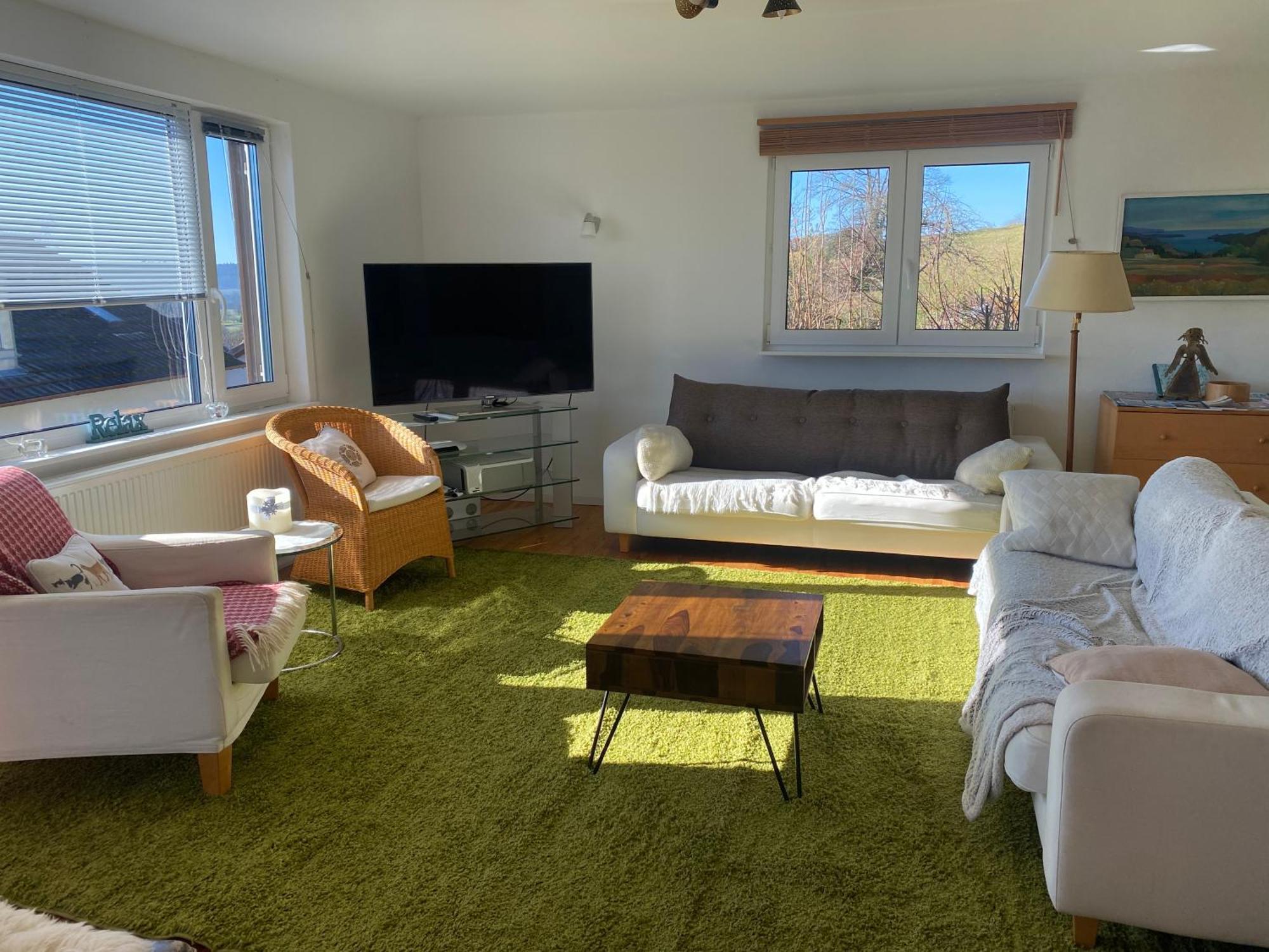 Alpenpanorama Am Hochrhein Villa Gailingen Ngoại thất bức ảnh