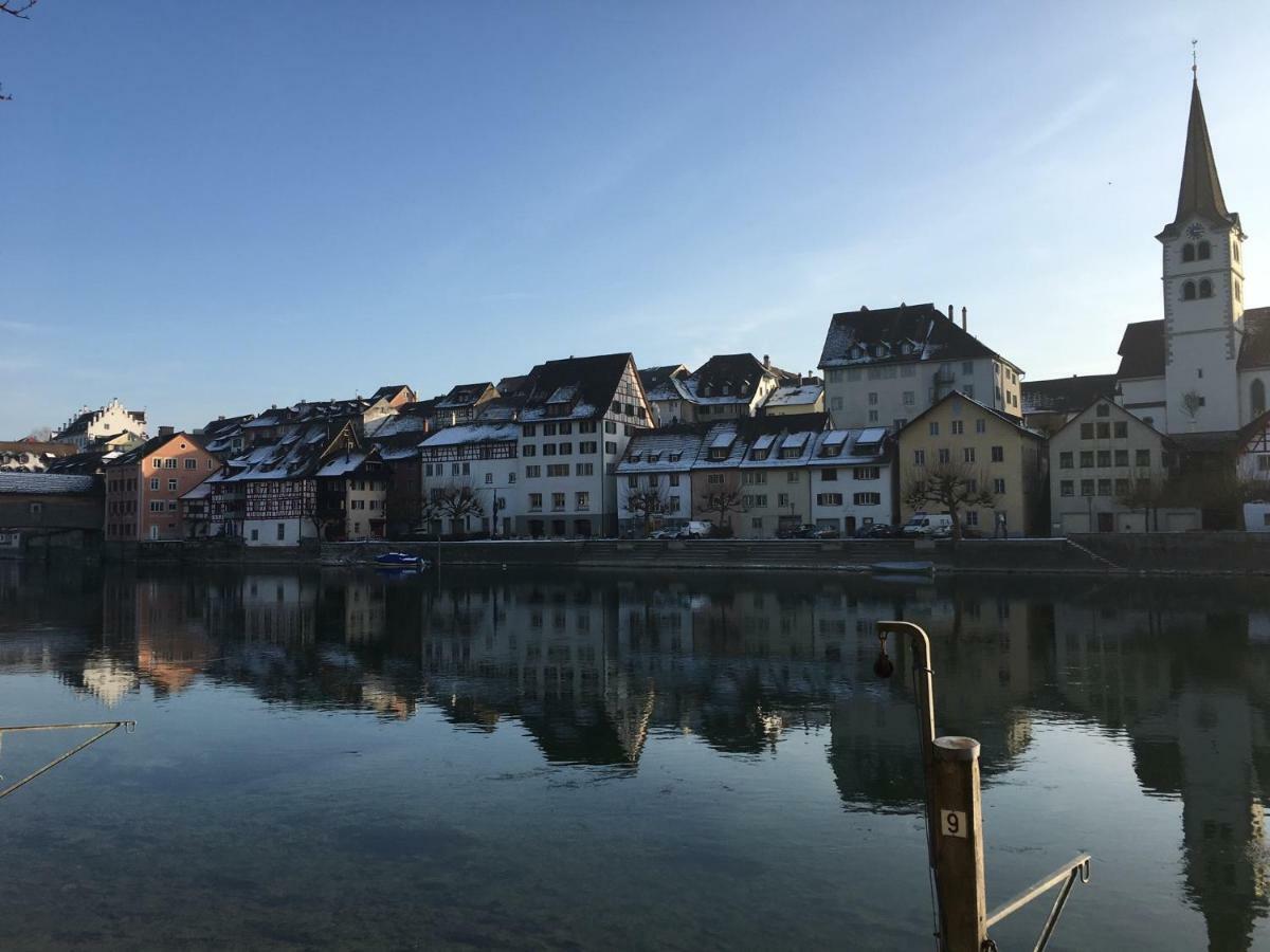 Alpenpanorama Am Hochrhein Villa Gailingen Ngoại thất bức ảnh