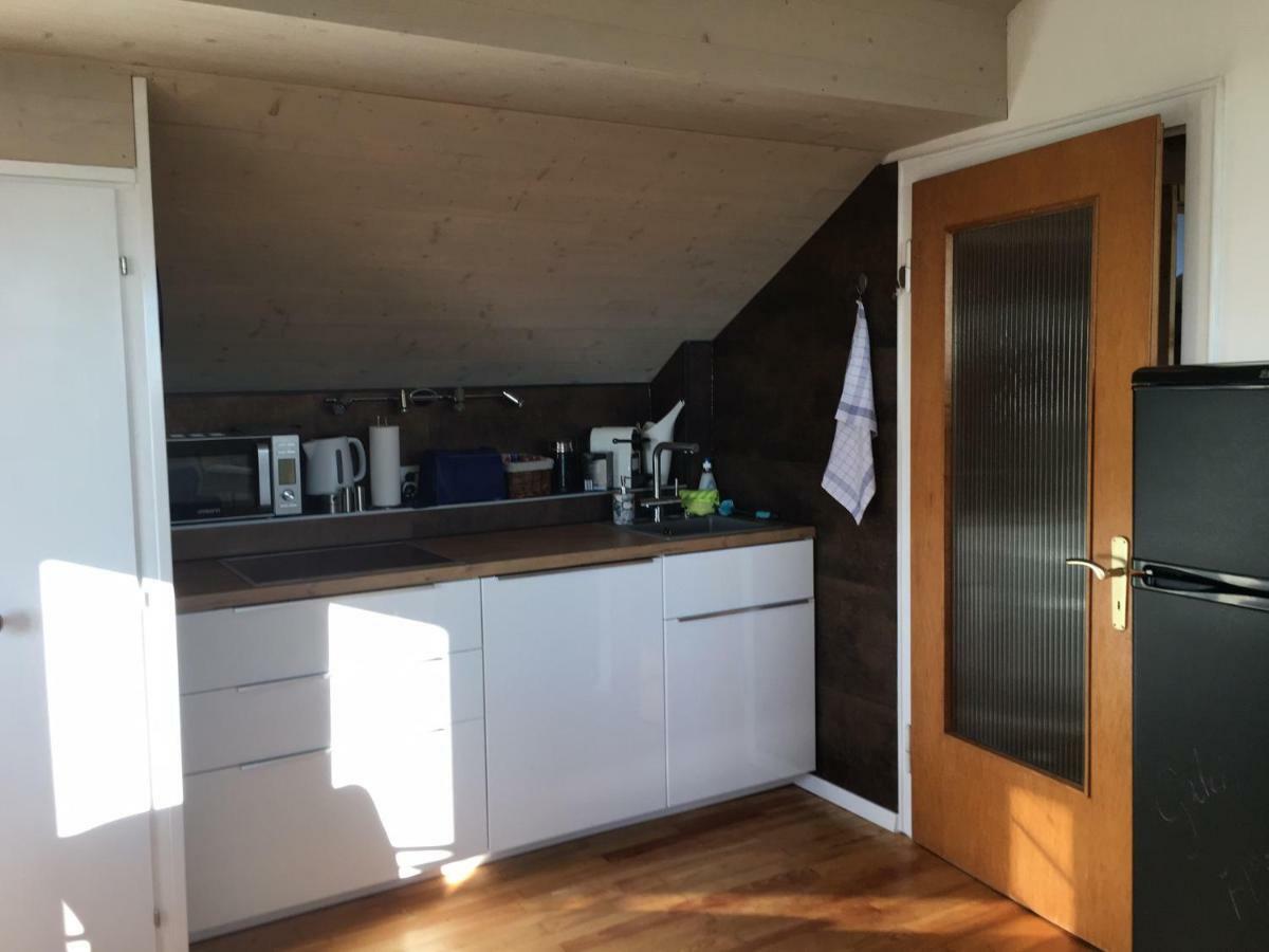 Alpenpanorama Am Hochrhein Villa Gailingen Ngoại thất bức ảnh