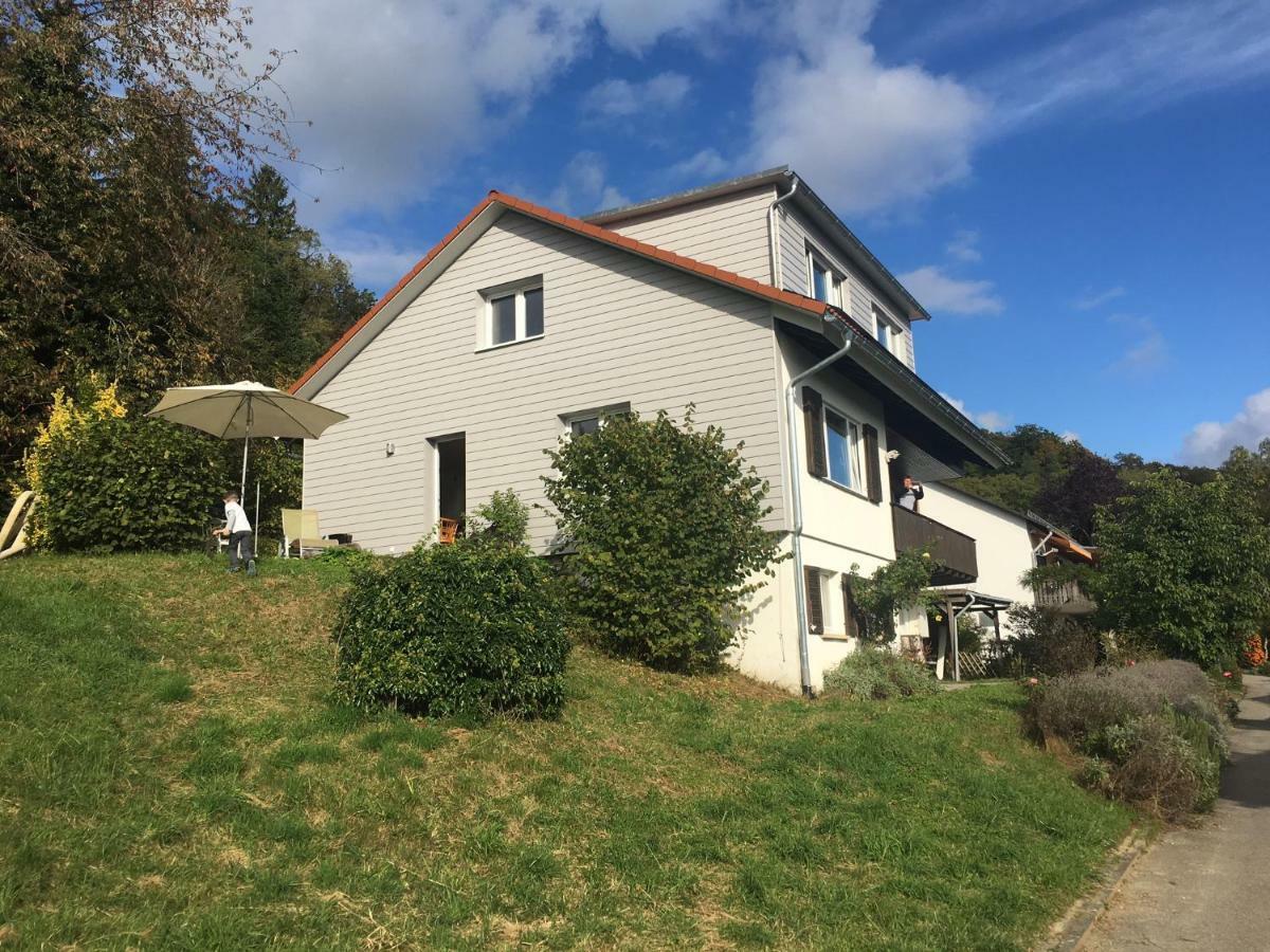 Alpenpanorama Am Hochrhein Villa Gailingen Ngoại thất bức ảnh
