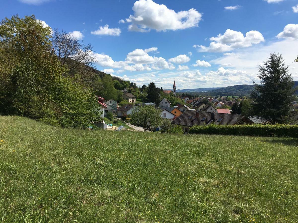 Alpenpanorama Am Hochrhein Villa Gailingen Ngoại thất bức ảnh