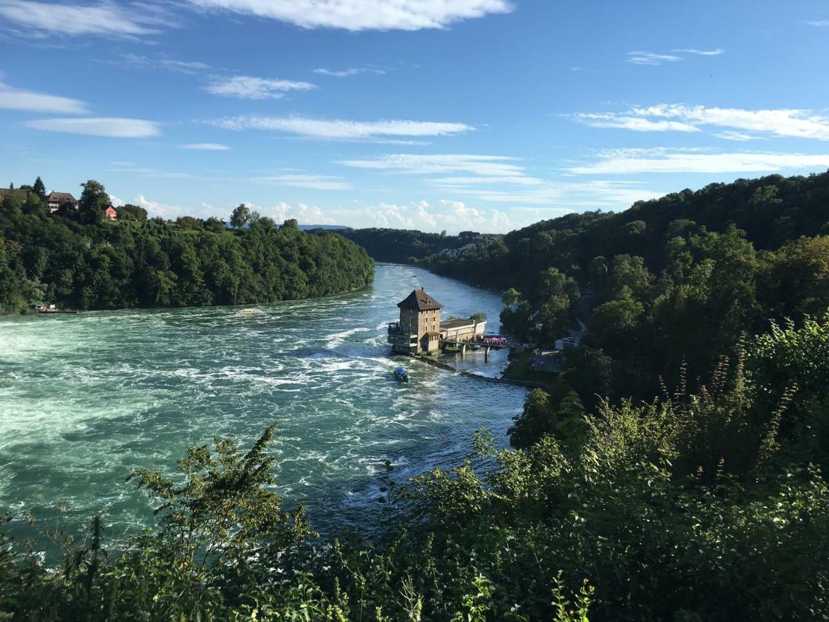Alpenpanorama Am Hochrhein Villa Gailingen Ngoại thất bức ảnh