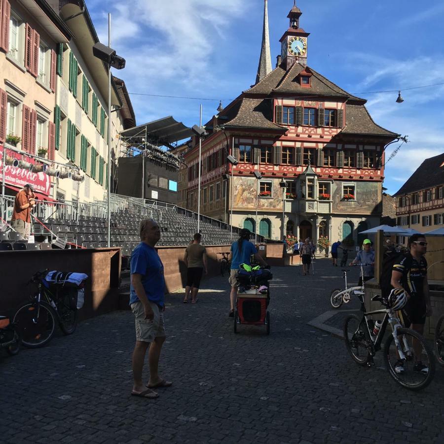 Alpenpanorama Am Hochrhein Villa Gailingen Ngoại thất bức ảnh