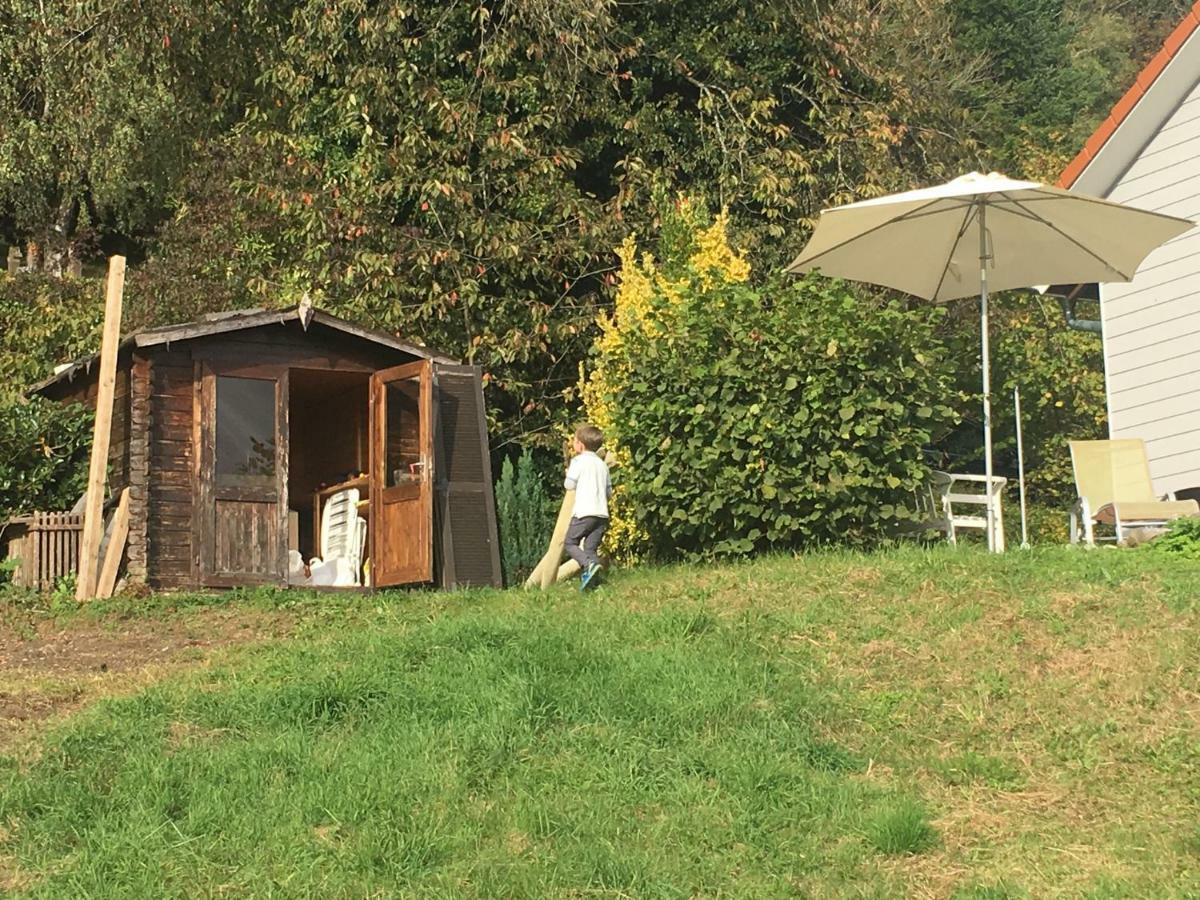 Alpenpanorama Am Hochrhein Villa Gailingen Ngoại thất bức ảnh