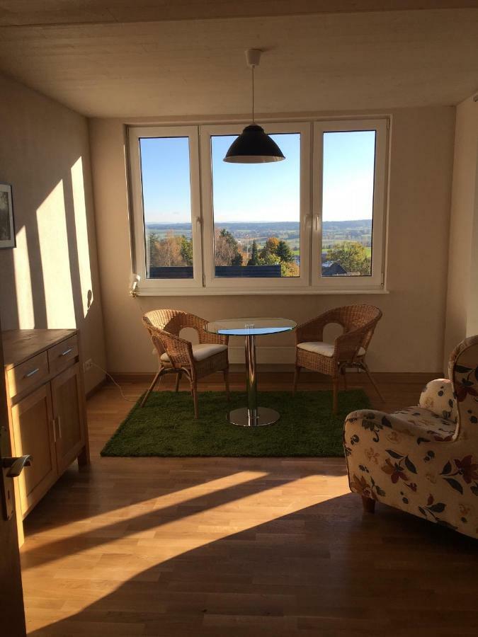 Alpenpanorama Am Hochrhein Villa Gailingen Ngoại thất bức ảnh