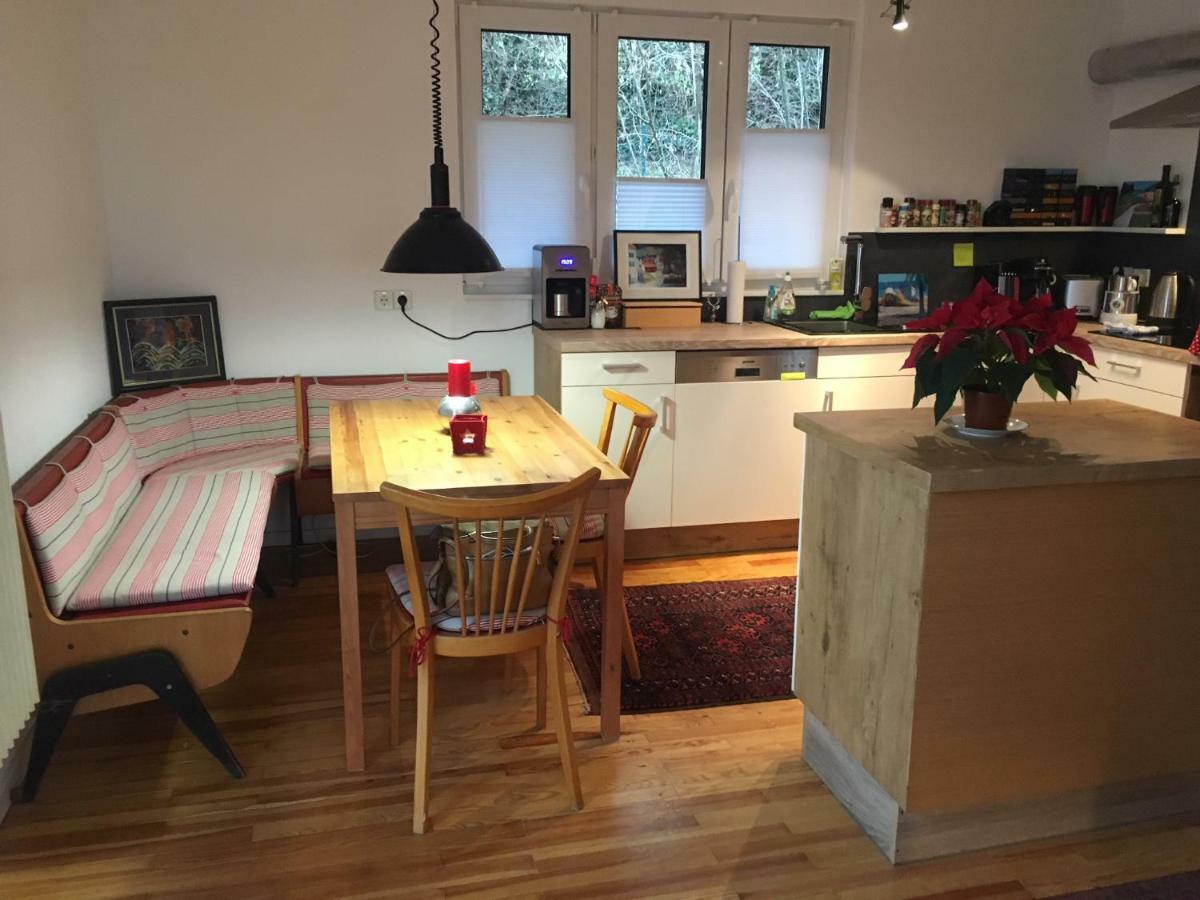 Alpenpanorama Am Hochrhein Villa Gailingen Ngoại thất bức ảnh