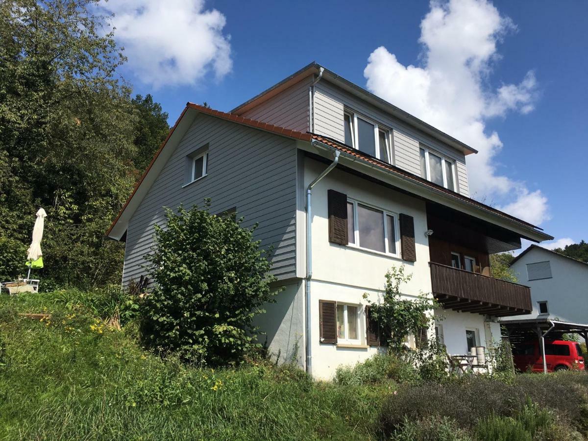 Alpenpanorama Am Hochrhein Villa Gailingen Ngoại thất bức ảnh