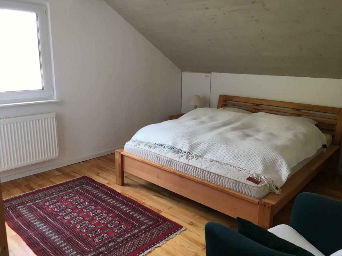 Alpenpanorama Am Hochrhein Villa Gailingen Ngoại thất bức ảnh